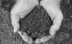 उर्वरकों के अविवेकपूर्ण उपयोग से मिट्टी के बहुपोषक तत्व में आ सकती है कमी