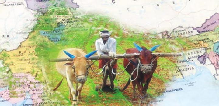 भारत में बदहाल पशुधन और कृषि