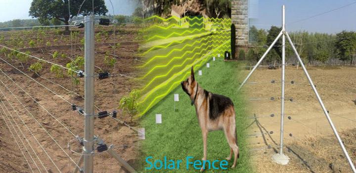इलेक्ट्रिक फेंस,Electric Fence,Solar Fence