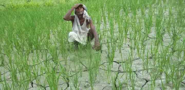 बदलते मौसम से किसान चिंतित