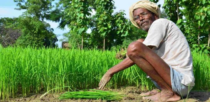 किसानों के लिए स्वैच्छिक होगी पीएम फसल बीमा योजना, होंगे कई बदलाव