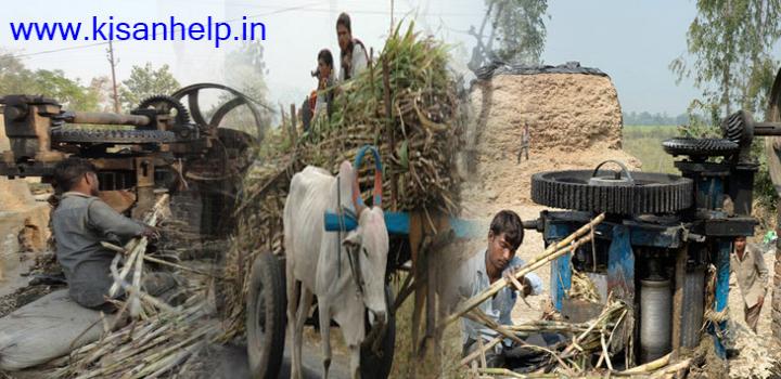 केंद्र कोल्हुओं को देगा प्रोत्साहन