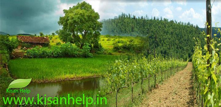 भारत में बढ़ी जैविक खेती