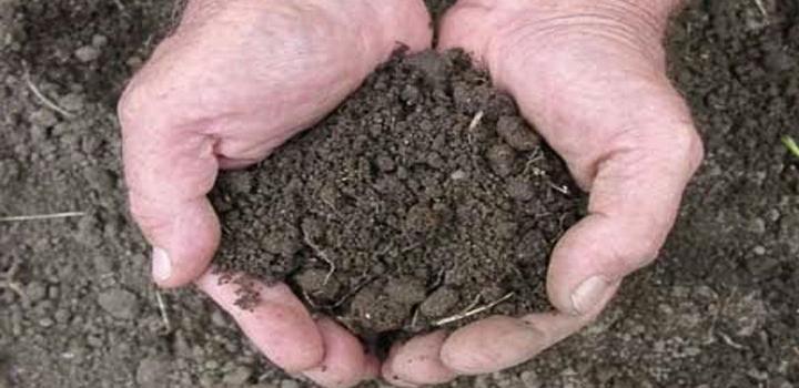 उर्वरकों के अविवेकपूर्ण उपयोग से मिट्टी के बहुपोषक तत्व में आ सकती है कमी